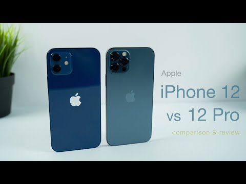 iPhone 12 vs 12 Pro | In Depth Review (vs 11 + 11 Pro)