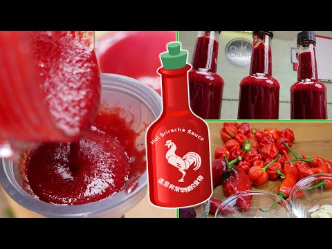 Sriracha Sauce Recipe - ChilliChump Style