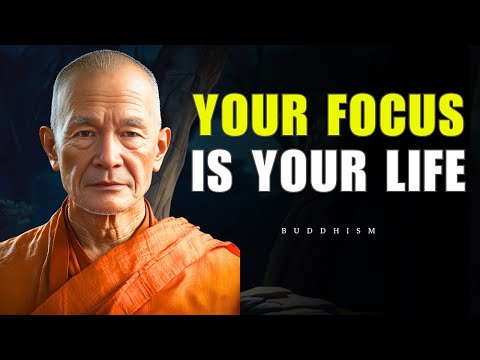 What You Focus On, You Become — A Quiet Buddhist Lesson for the Mind After 60