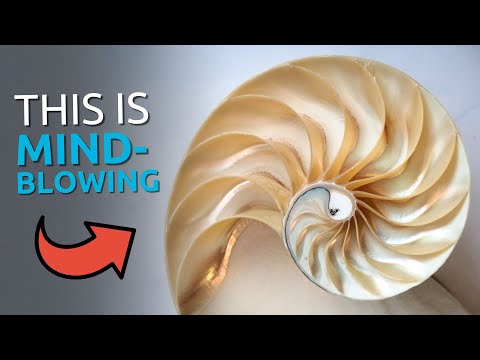 This AMAZING Math Formula Will Teach You About God!