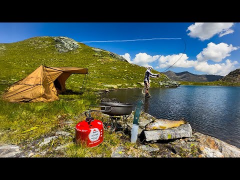 Solo Camping & Fishing at a Remote Mountain Lake | Catch & Cook