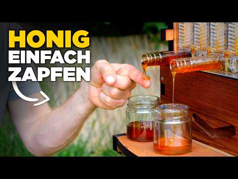 Flow Hive: From beginner to beekeeper – Our honest experience!