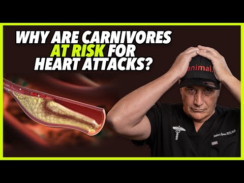 WHY ARE CARNIVORES AT RISK FOR HEART ATTACKS?
