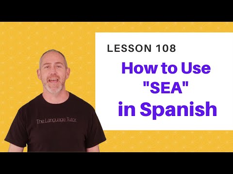 The Word Sea in Spanish | The Language Tutor *Lesson 108*
