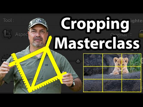 What the Pros Know About Cropping (Unlock These Secrets!)