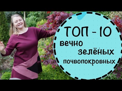 ☘️ТОП 10 любимых многолетников мая в моём саду. ☘️Условия выращивания и сочетания.☘️Май 2023