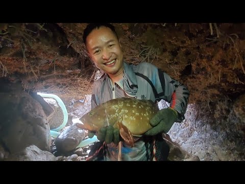 苦等一年的月亮坑,坑里海货刷新大伙认知,光一条石斑鱼就卖2500