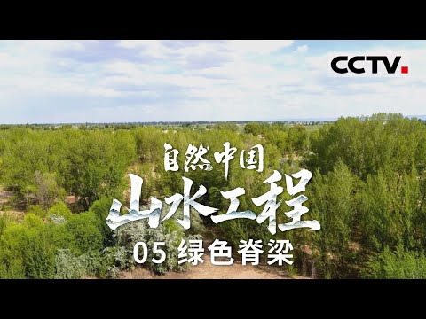 《自然中国之山水工程》05 绿色脊梁：中国北方绿色奇迹 锁住黄沙 保护黄河！书写了人与自然从博弈到共生的崭新篇章【CCTV纪录】