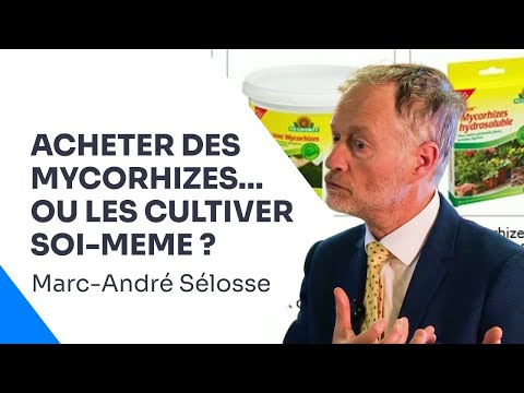 Mycorhizes : mode d’emploi pour des sols vivants, Marc-André Sélosse