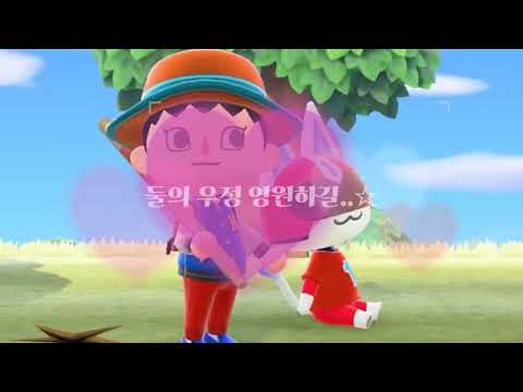 [니지산지/카이세이] 이 둘의 우정 영원하길..☆