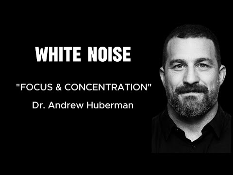 WHITE NOISE - "FOCUS & CONCENTRATION" with Dr. Andrew Huberman