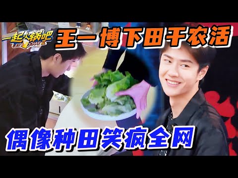 王一博收割农作物干劲十足！网友：这是真·全能艺人！#一起火锅吧 #wangyibo #王一博 #这就是街舞 #张艺兴 #zhangyixing  #刘宪华 #henrylau