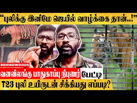 'மசினகுடியை அதிரவைத்த T23 புலி' சிக்கியது எப்படி? - வனவிலங்கு பாதுகாப்பு நிபுணர் பேட்டி