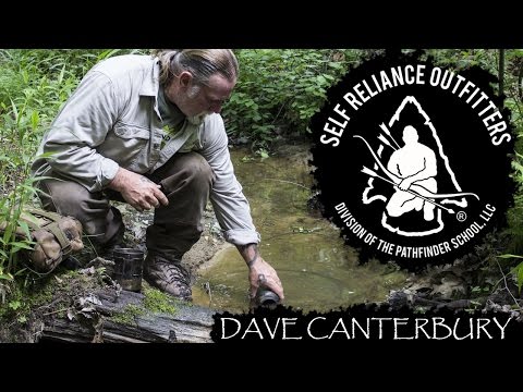 Evolution of the 10 C's Part 2