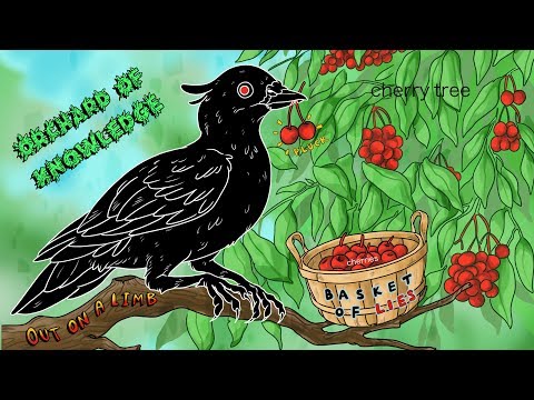 Group Bias & Black Pigeon Speaks