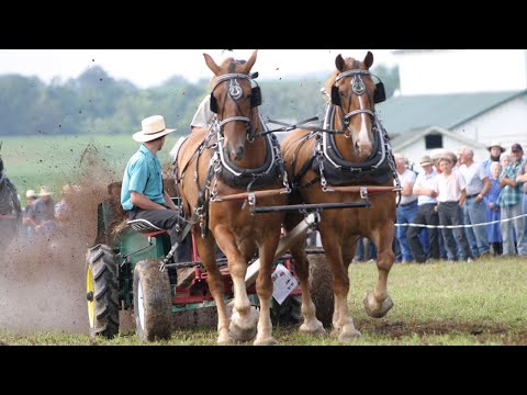 Horse Progress Days 2008 - Draft Animal Power Event