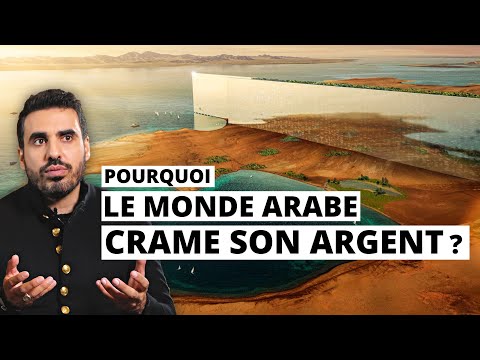 Pourquoi le monde Arabe déconne avec son argent ? | Idriss Aberkane