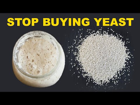 Grow Your Own Yeast (not sourdough)