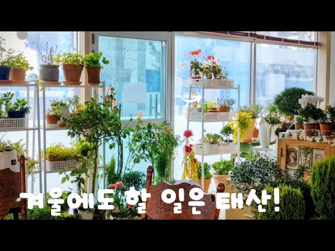 겨울에도 할 일은 태산/겨울에 해야 할 일,정원은 리모델링중