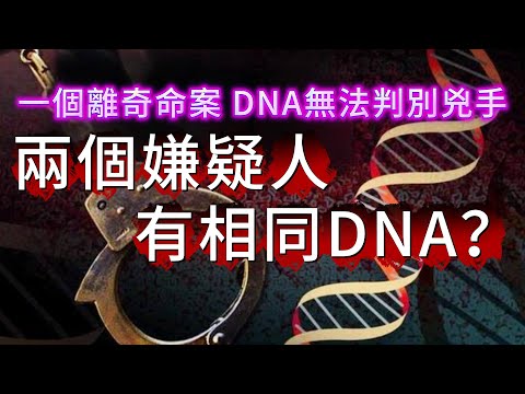 【真實案件】| 好消息：命案現場發現兇手DNA；壞消息：一個DNA檢出兩個嫌疑人！一個DNA都無法判別兇手的離奇命案！#犯罪#案件 #案件解說 #真實故事 #criminal #刑事案件