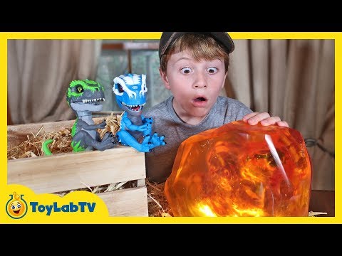 Giant Life Size Dinosaur vs UNTAMED T-Rex! Surprise Toy Dinosaurs & Showdown with Mystery Creature