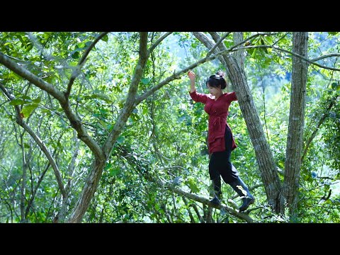 The life of purple rice, pumpkins, and … peanuts 丨Liziqi Channel