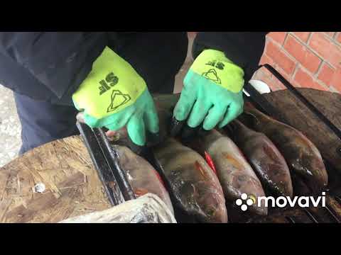 Копчение рыбы, как правильно готовить окуня горячего копчения за 30 минут! Очень вкусно!