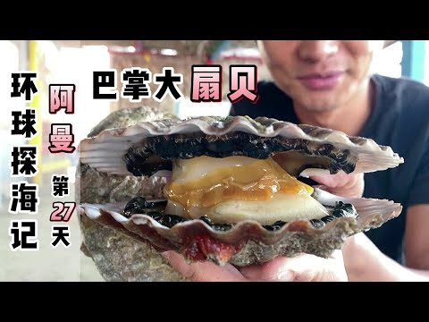 《环球探海记》阿曼 第27天；今天带几位粉丝朋友赶海，没料收获了好多巴掌大的扇贝！#阿曼旅行#大扇贝#真实赶海记录#环球赶海旅行