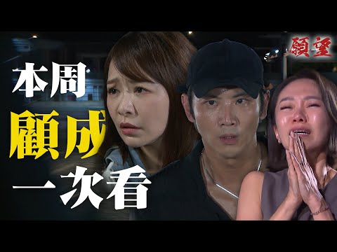 精華一次看｜顧成英勇犧牲領便當！做你永遠的家人 拯救詩涵沒第二句話　愛倫痛失老公爆哭！｜#願望 EP253-257｜三立台劇