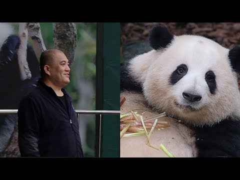 24.10.16 哈哈，花花听到爷爷领午饭，突然一下子给愣住了！