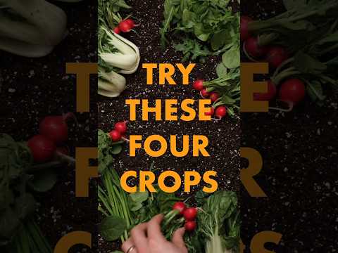 Who's starting to get excited for the gardening season?! ππ»ββοΈπ¨π»βπΎπ