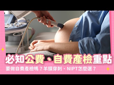 懷孕要做幾次產檢？要做羊膜穿刺嗎？公費自費孕期產檢重點一次看｜【新手爸媽育兒100問】EP08