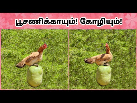 ஒரு பூசணிக்காய் போதும் உங்கள் பண்ணையில் உள்ள நோய்களை கண்டறிய மற்றும் தடுக்க!