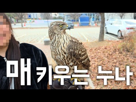 What's happening at the neighborhood park??? An unimaginable sight unfolded. My sister-in-law tak...