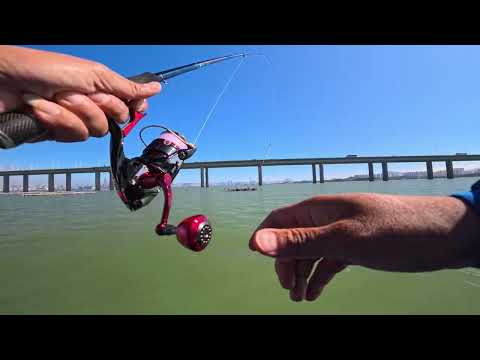 11月5日流浮山 很多立魚仔 轉一個位就收隊 中途轉磯