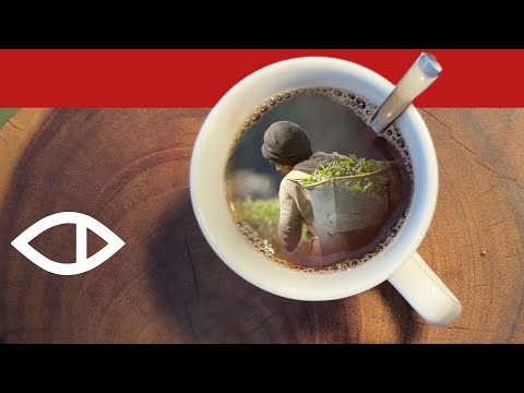 Le sexe au travail : Le vrai coût de notre thé - documentaire de BBC Africa Eye