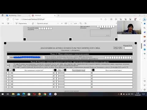 Всеобщее декларирование доходов бизнеса с2024 года. Форма 250.Заполнение.