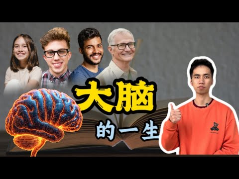人类大脑一生的秘密变化，在每个年龄段都经历了什么？|大脑| 记忆|情绪|衰老|知识