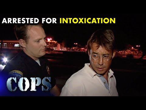 🛑 Traffic Stops And Stolen Vehicles | Cops TV Show