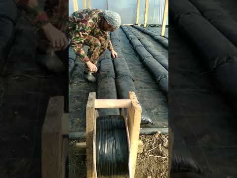 Клубника на малообъемке. Подготовка.