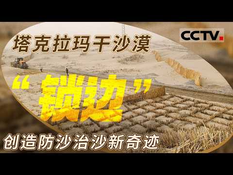 沙漠治理的“中国奇迹”：看3046公里如何“锁”住沙漠？中国人用半个世纪将“死亡之海”逆改《塔克拉玛干的故事》【CCTV纪录】