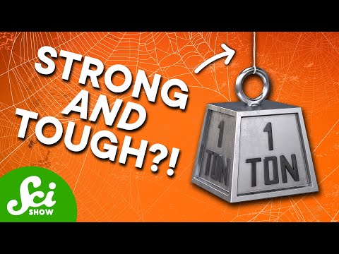 We Finally Made Synthetic Spider Silk