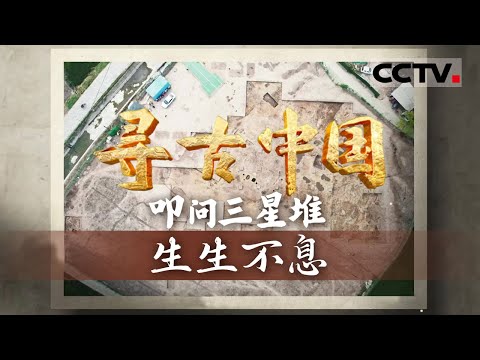 《寻古中国》生生不息：三星堆遗址的核心区域在哪里？穿越三千年 再现三星堆工匠的工作现场—— 叩问三星堆【CCTV纪录】