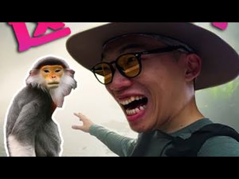 【Vlog】这是猴?我真的被它震撼了! 第一次走进新加坡热带雨林动物园被眼前的景象惊呆!丛林中和动物零距离,真的像掉进了自然纪录片。没想到城市里藏着这样一个秘境,真的太快乐了!-#...
