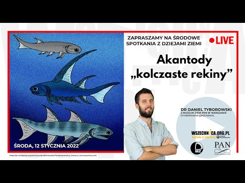Akantody – „kolczaste rekiny”  / Dr Daniel Tyborowski