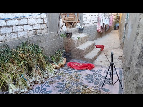 الست الشاطره رزق🧕ربنا رزقني من حيث لا أحتسب وبيتى اتملا خير صبرت فجبرت جبرا يليق بعظمته 🤲