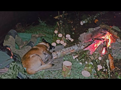 Bushcraft in the Wild Mountains | Simple Shelter, Survival Camp and Delicious Meat ππ
