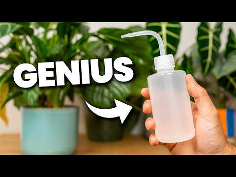 15 Plant Hacks That ACTUALLY Work