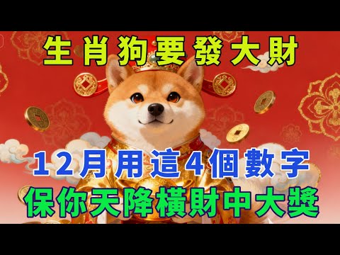 生肖狗要發大財，12月用這4個數字，保你天降橫財中大獎。【生肖吉運坊】#生肖 #命理 #運勢 #屬相 #風水