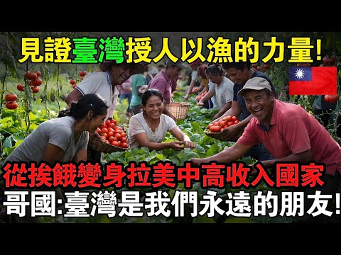 見證台灣授人以漁的力量！哥國從「飢餓絕境」到水稻產量暴增3倍，番茄堆成山，人均GDP翻20倍，變身中高收入國家！台灣用善意跨越山海，種下永恒友誼！#taiwan #台灣 #台灣故事